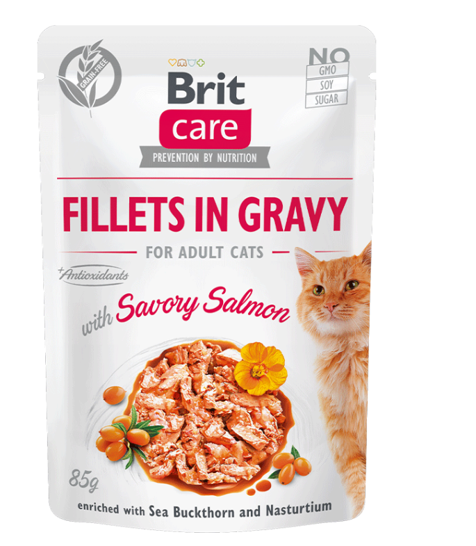 Brit Care Fillets in Gravy Savory Salmon 85 GR