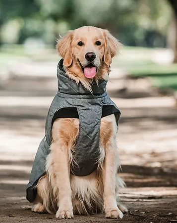 Parka Dry And Comfy Gris XL