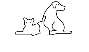 Pet Harmony Chile