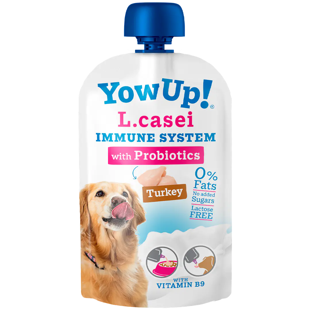 Yow Up - L.Casei Probiótico
