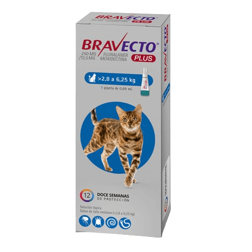 Bravecto Plus para Gatos 2,8 a 6,25 Kg Pipeta