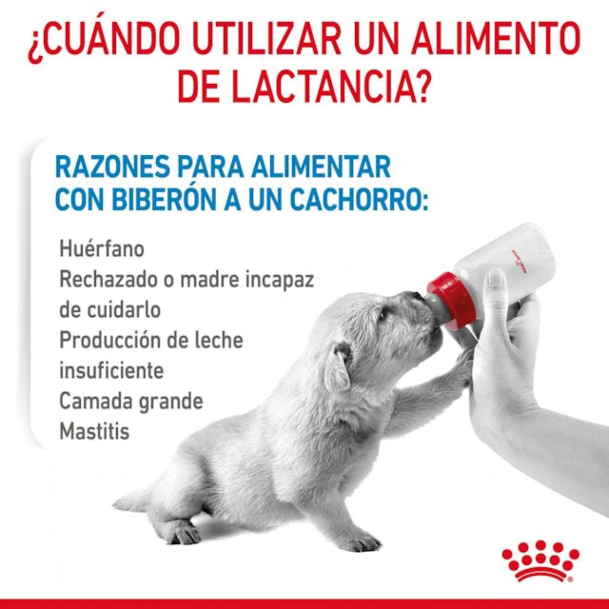 ROYAL CANIN BABY DOG MILK 400G