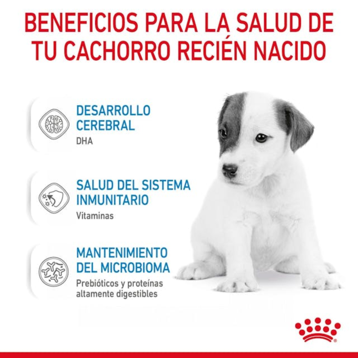 ROYAL CANIN BABY DOG MILK 400G