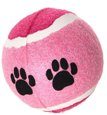 Pelotas para perros