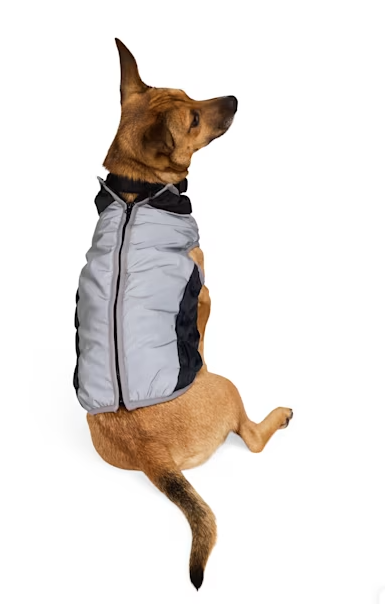 Chaqueta Reflectante para Perros - Talla L
