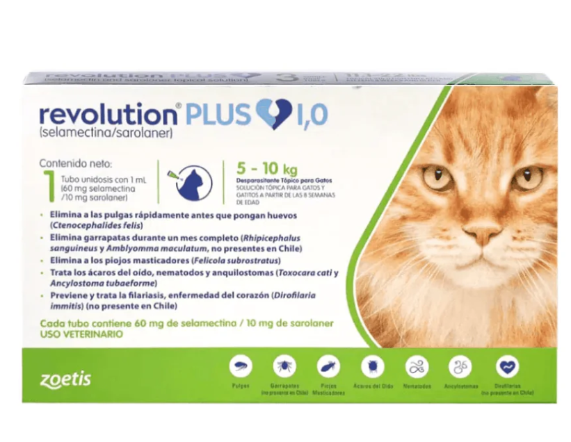 Revolution Plus Gato 5 - 10kg