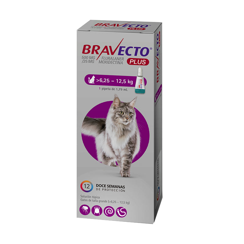 Bravecto Plus Pipeta Antiparasitaritaria Gatos 6.25 a 12.5 kg