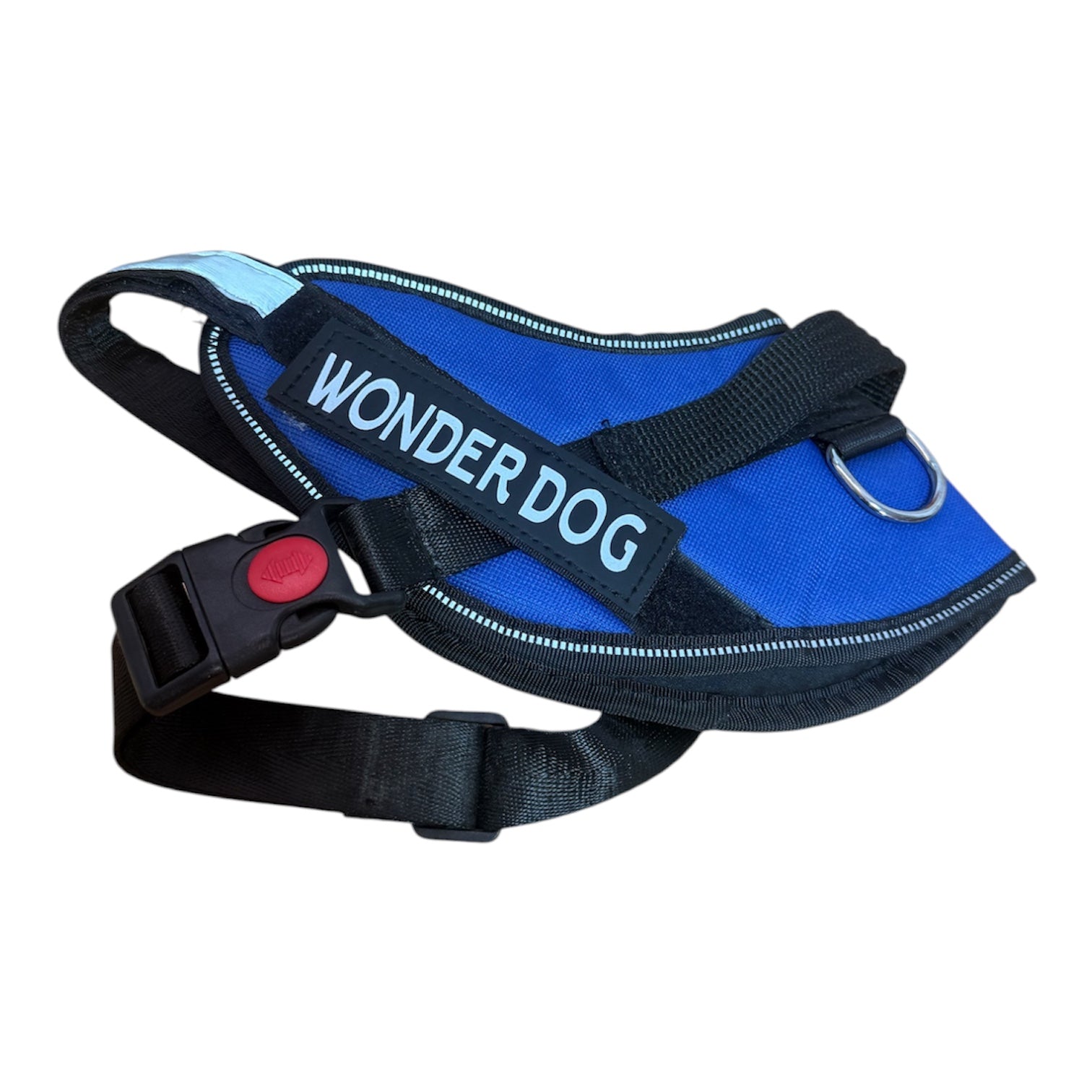 Arnes Wonder Dog Talla S