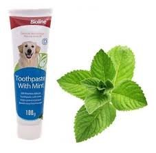 CREMA DENTAL MENTA BIOLINE 100g