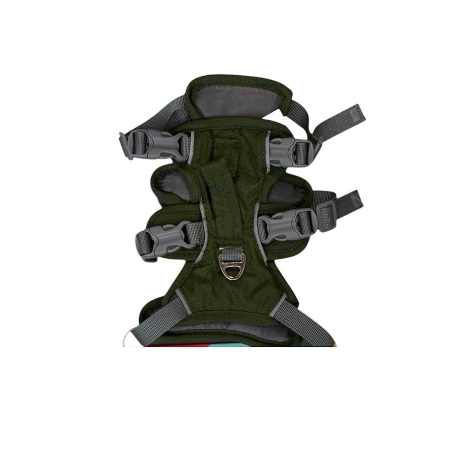 ARNES ANTIESCAPE XXS