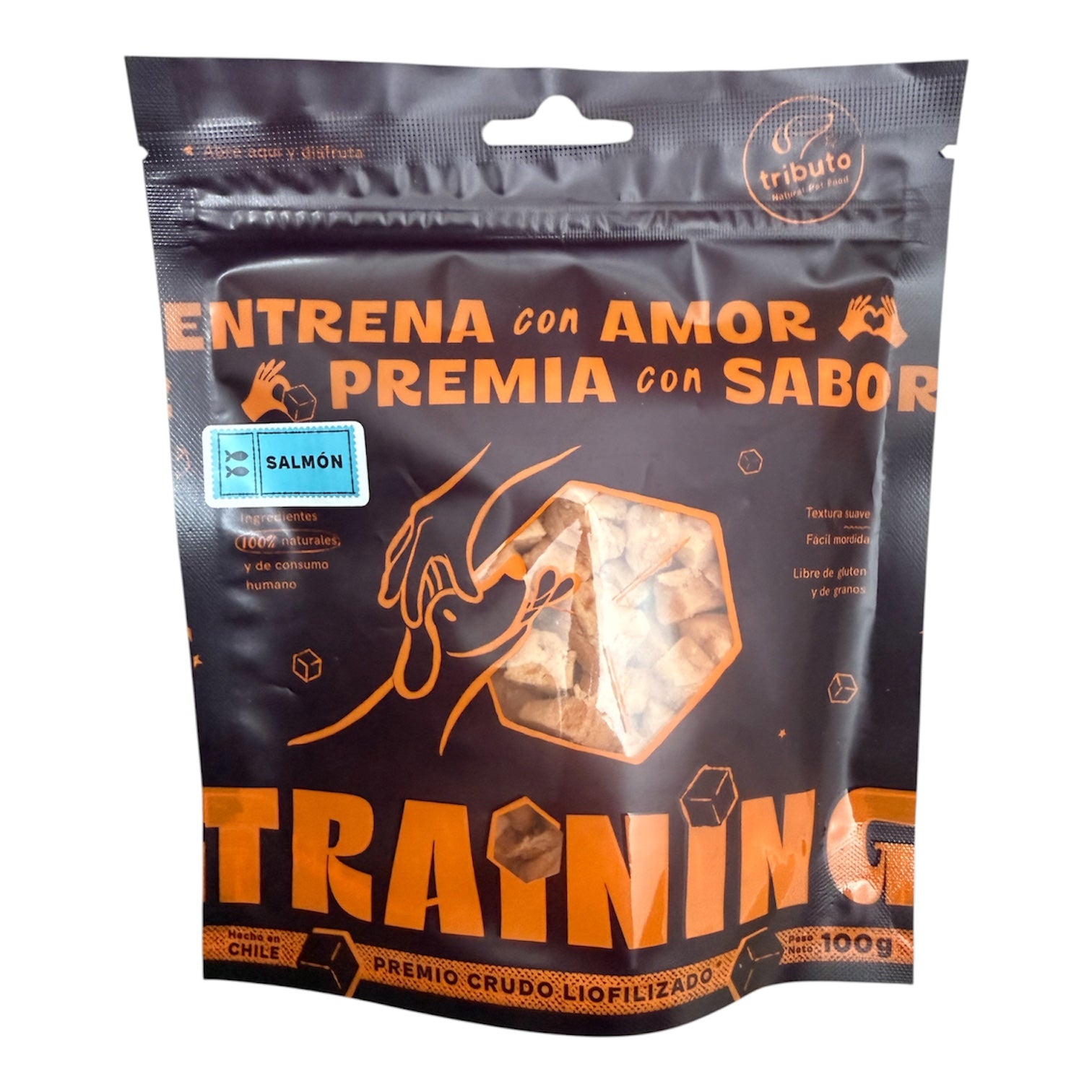TRIBUTO - TRAINING 100% SALMON 100GR