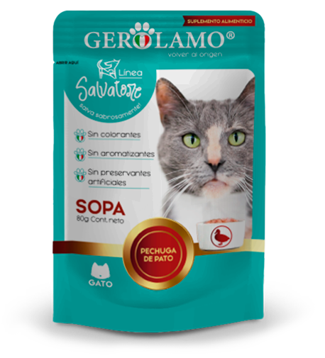 Gerolamo Salvatore Sopa Pato