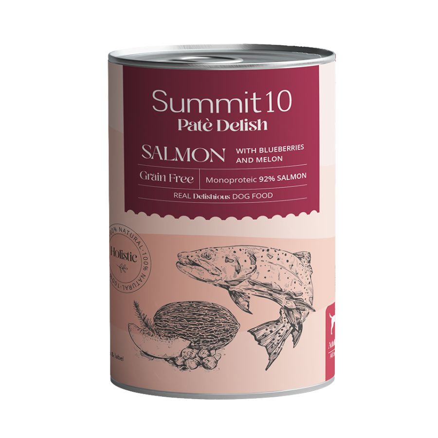 Summit 10 pate con salmón para perros 400GR