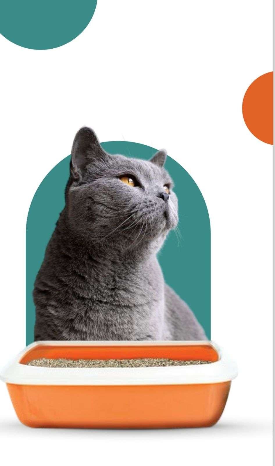 ARENA ODOUR BUSTER ORIGINAL 14KG