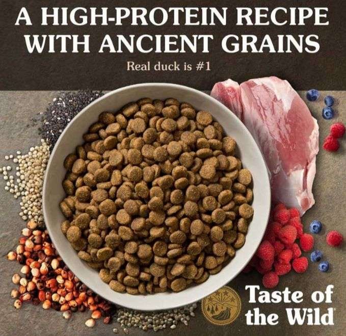 TASTE OF THE WILD (ANCIENT WETLANDS) 12.7KG