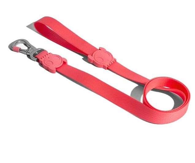 CORREA NEOPRO LEASH - SMALL ZEE.DOG