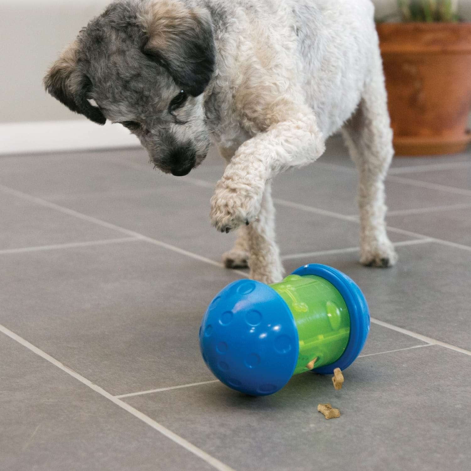 KONG SPIN IT! L