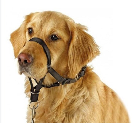 Marben Collar Antitirones S