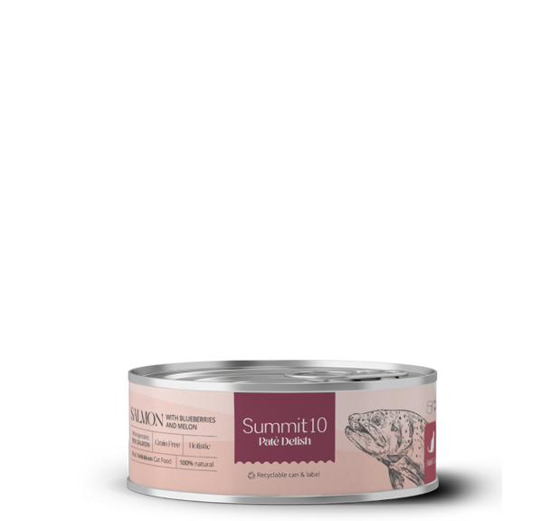 Summit 10 Delish Pate Salmon Cat 85gr