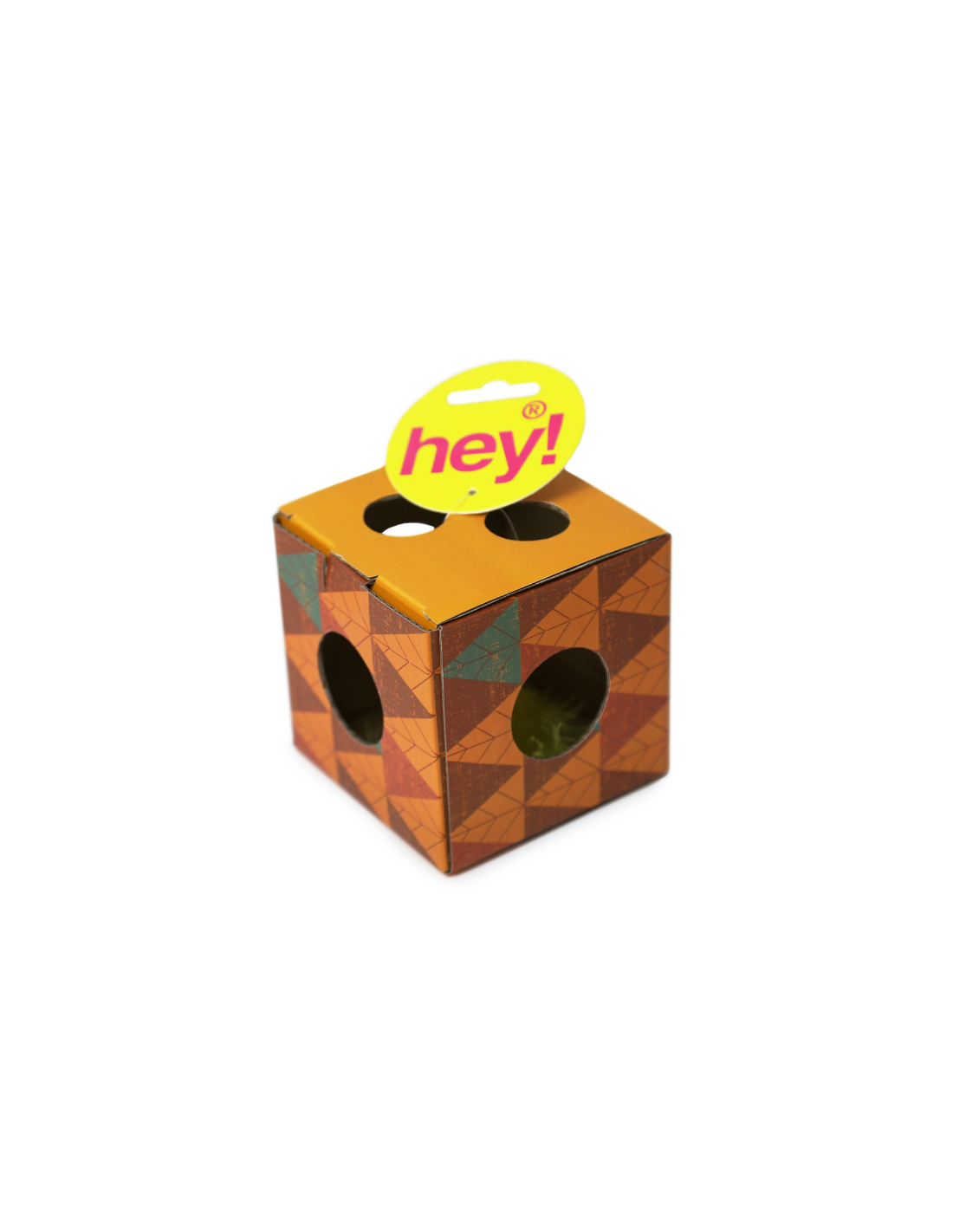 HEY! CUBO CON PELOTA INTERACTIVA PARA GATO