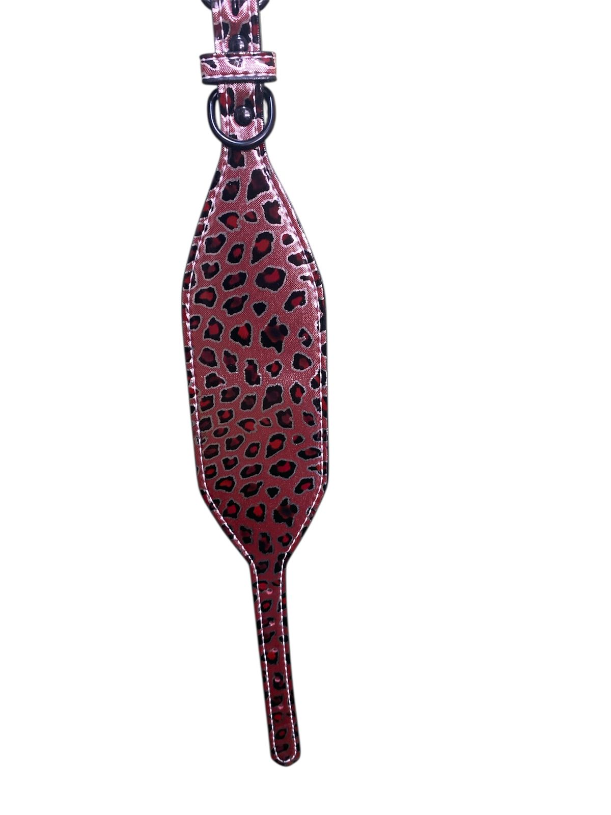 Collar para Galgo - Colores Surtidos